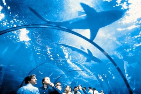 Acuario de Barcelona