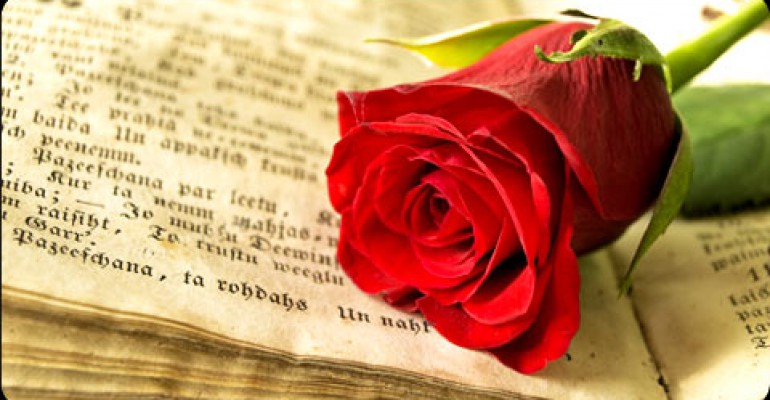 San Jordi: Una leyenda de dragones, caballeros y princesas