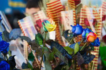 Sant Jordi, el día de la rosa y el libro