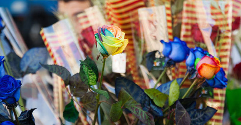 Sant Jordi, el día de la rosa y el libro