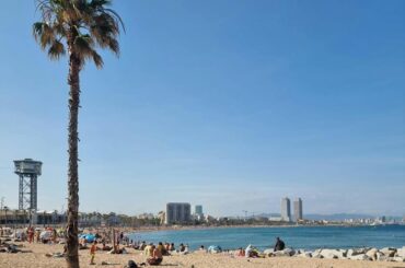 Guía completa para disfrutar de Barcelona alojándote en apartamentos turísticos en la Barceloneta